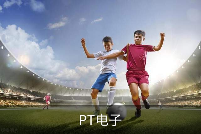 PT电子公司简介图片
